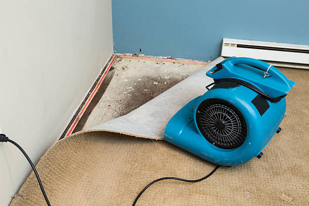 Best Ceiling water damage repair  in Dillon, SC